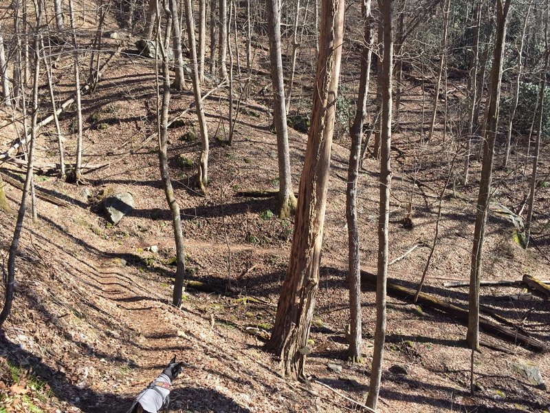 Switchbacks towards China Creek.