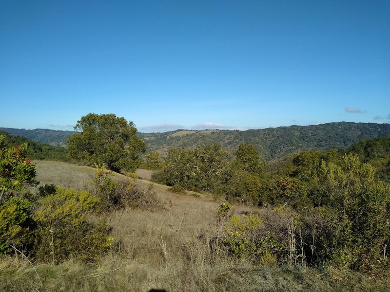 Surrounding forested hills and meadows to the north, high on Merry-Go-Round Trail.