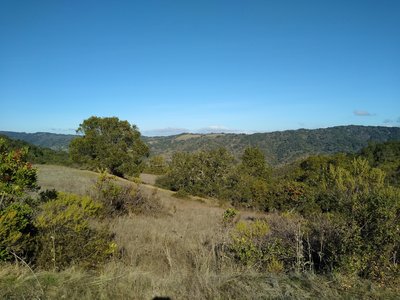 Surrounding forested hills and meadows to the north, high on Merry-Go-Round Trail.