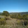 Surrounding forested hills and meadows to the north, high on Merry-Go-Round Trail.