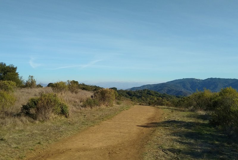 High on Merry-Go-Round Trail, looking east.