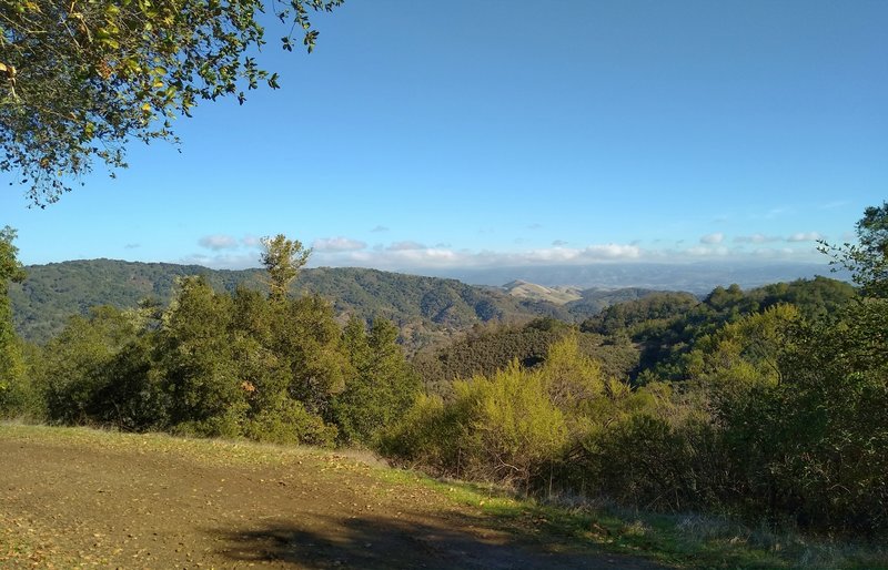 Nearby forested hills, and in the far distance to the east (right horizon) is the Diablo Range on the far side of Santa Clara Valley.  Seen along Old Mine Trail.