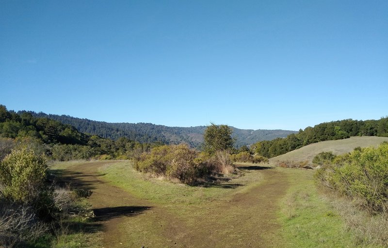 Old Mine Trail deadends at a loop around some brush amid the forested hills.