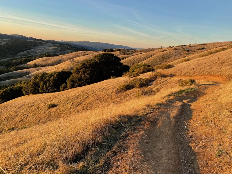 The Bella Vista Trail in the early evening as the sun starts to set.