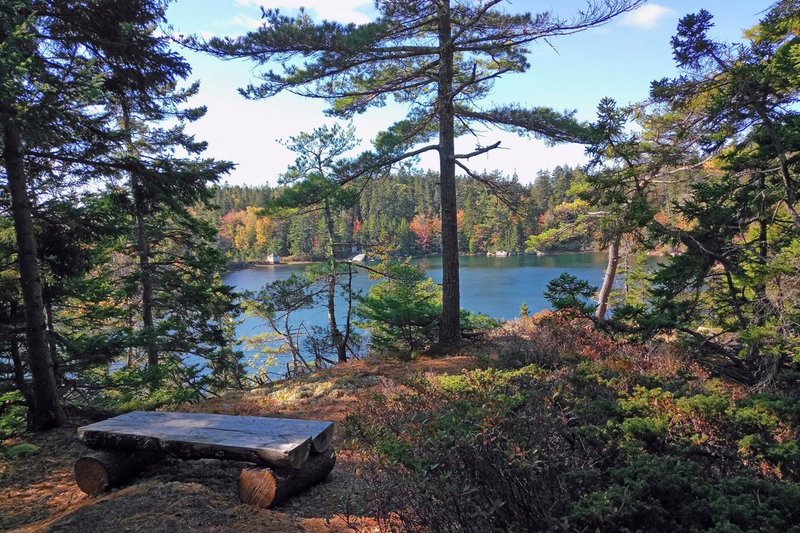 Outlook over Round Pond.