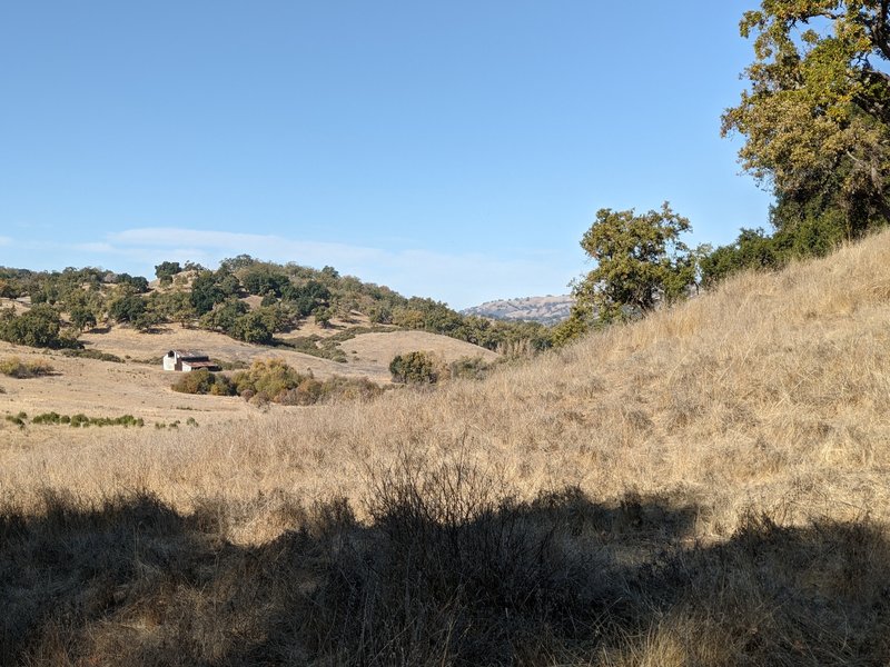 Looking back towards the barn.