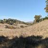 Looking back towards the barn.