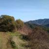 Tie Camp Trail climbs out of the forest into open brushy areas with great views.