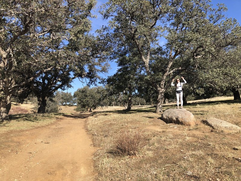 Up on the rock.