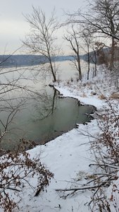 View of the Jacomo Lakeshore from Larry's Trail.