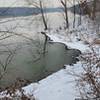 View of the Jacomo Lakeshore from Larry's Trail.