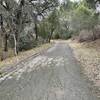 The Fire Road Trail is a paved road that leads up through the preserve, shaded by trees on either side of the trail.