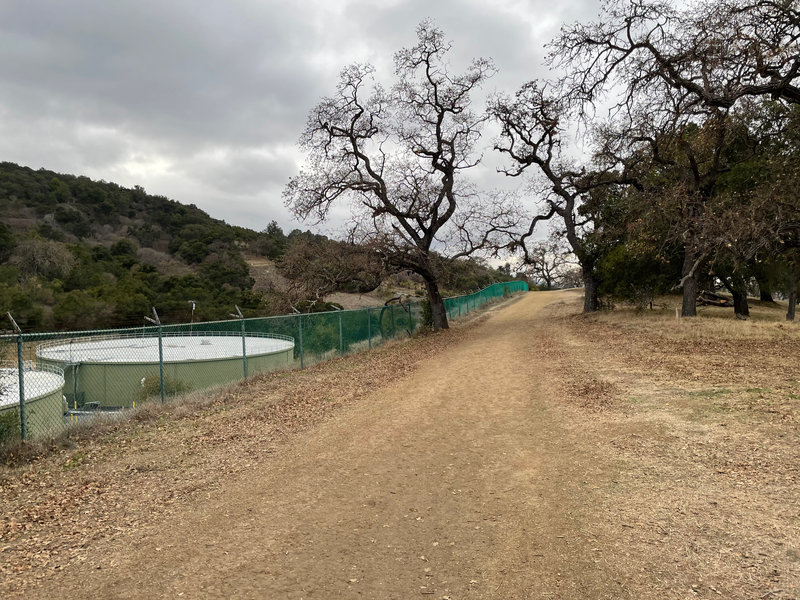 The Ridge Trail follows the preserve boundary and provides views of the hills above you.