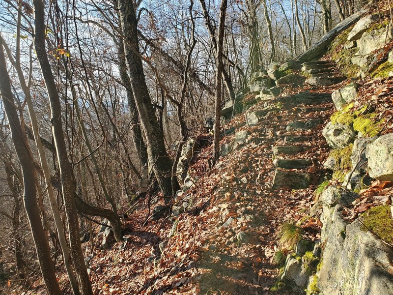 Rock steps and side cut trail along the climb to High Peak.