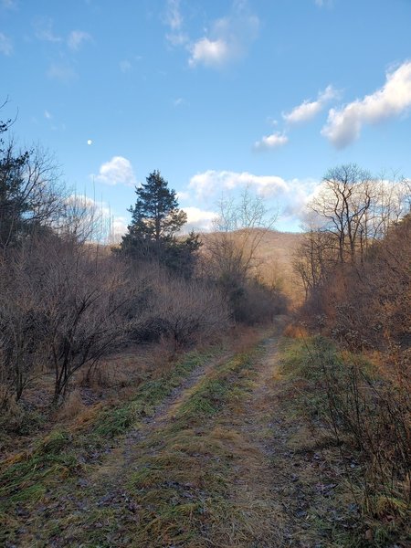 Start of trail just beyond the gate at the trailhead.