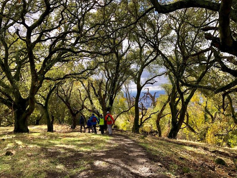 Aqua Caliente Trail - Ed Levin Park.