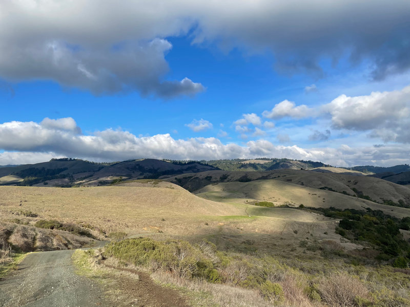 Looking toward the upper reaches of the La Honda Open Space Preserve.