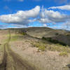 You can find solitude out at the far end of the Harrington Creek Trail. Just you, and maybe some cows.