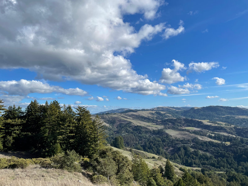 Views of the Santa Cruz Mountains and other open spaces from the Vista Point.