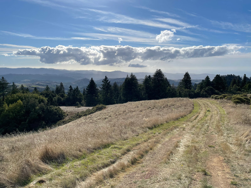 The views as the trail approaches the ridge line are amazing. You can see the surrounding hills and Pacific Ocean on clear days.