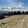 The views as the trail approaches the ridge line are amazing. You can see the surrounding hills and Pacific Ocean on clear days.