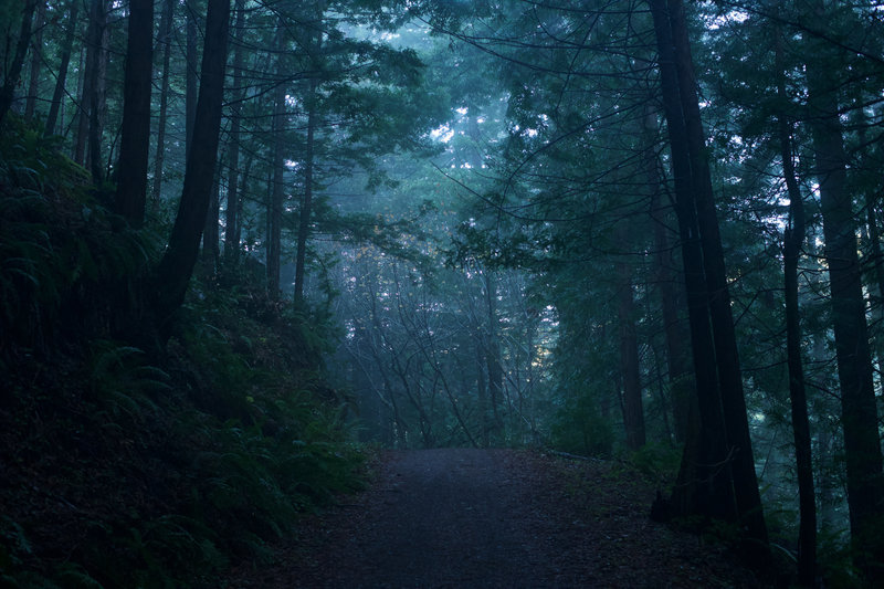 In the morning, the hike is cool as fog lays in the valley.