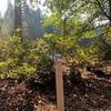 One of the many trail markers along the Paradise Lake trail. This is where our group turned around.