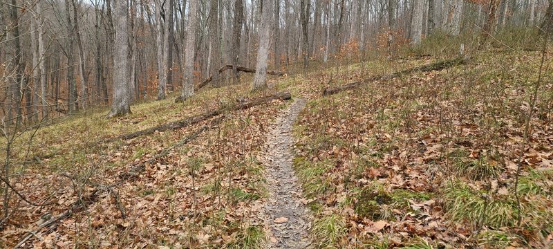 Trail quality