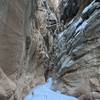 Photo of a tree lodged by the force of a flash flood that came roaring through this canyon.