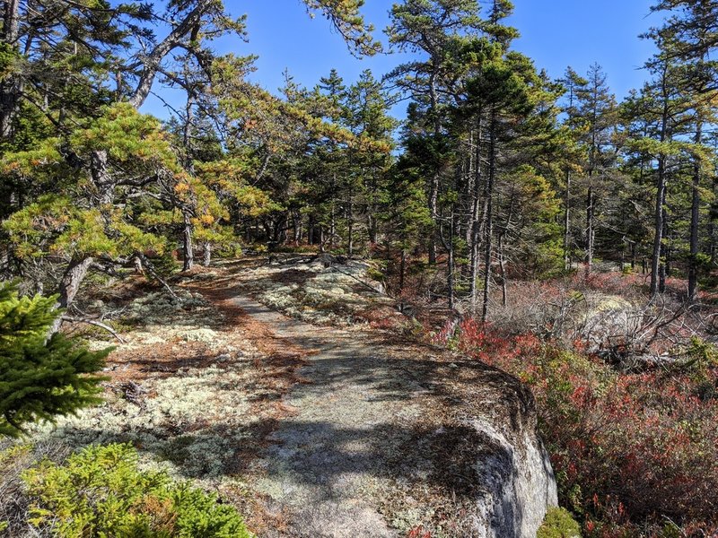 Granite formation at trail loop