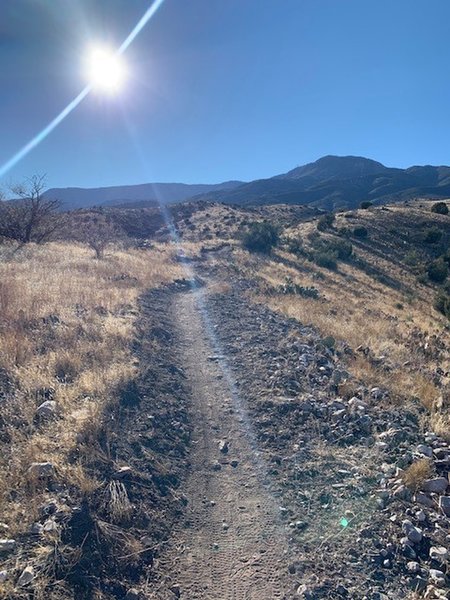 Trail heading along one ridge.