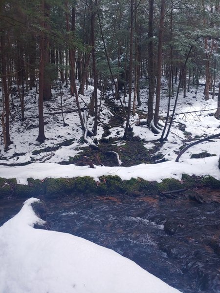 Following the stream on Rimrock Loop.