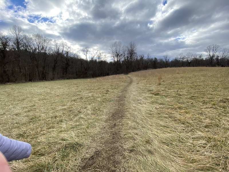 A flat area of grass on the trail.