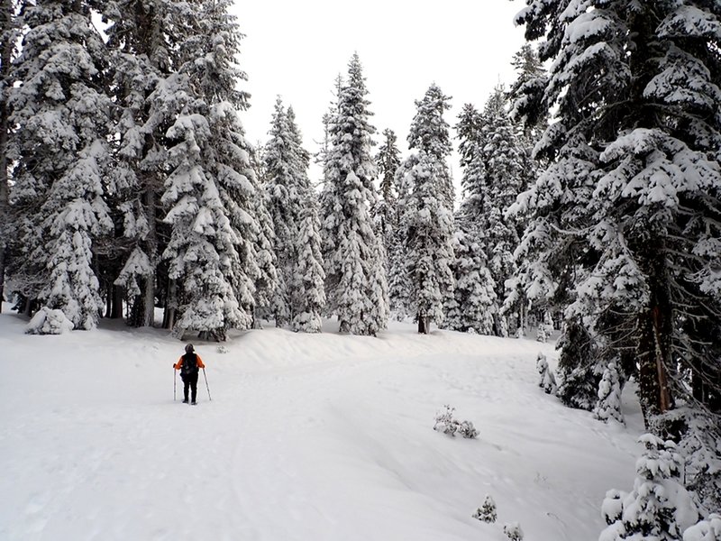 Starting out on the snowy road/trail.