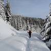 Breaking trail through fresh powder on the Bull Gap Lower Trail.