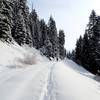 On the trail to Bull Gap.