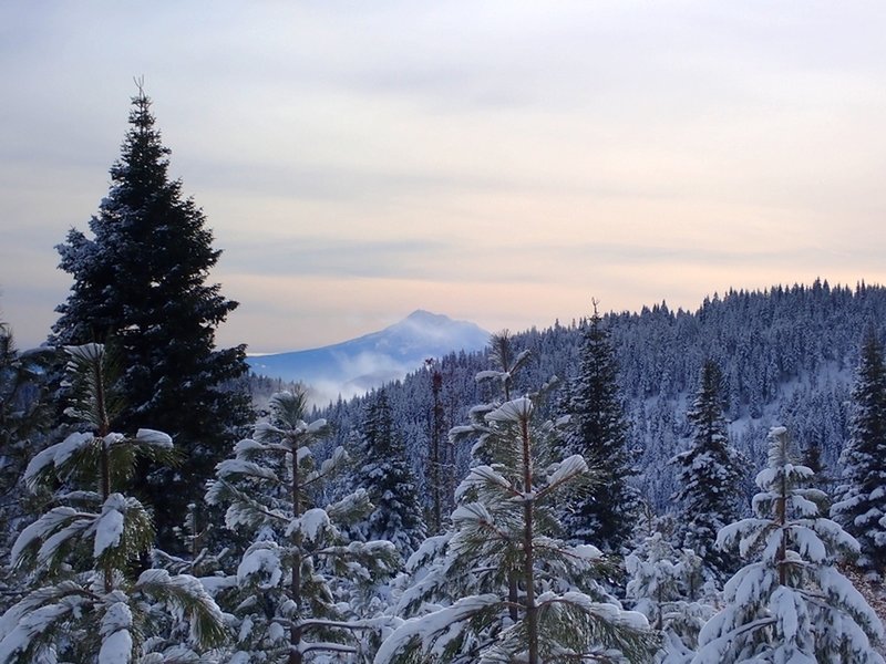 Mount Shasta from the Bull Gap Lower Trail.