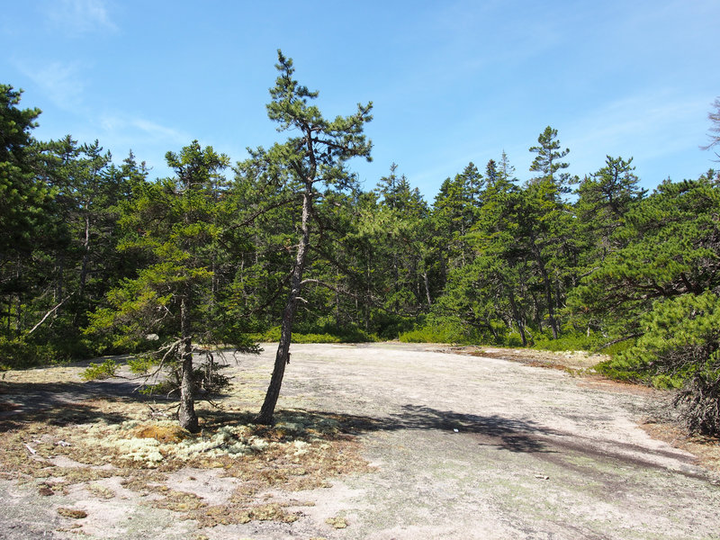 At the peak of the trail