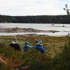 Observing Seals on the outer rocks.