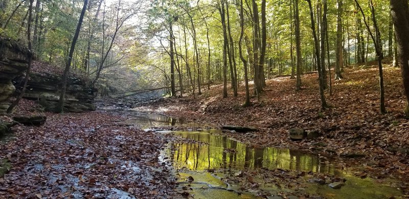 October 2020 On the Buffalo River Trail Crossing Steele Creek.