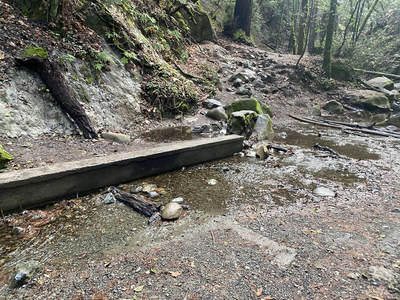 All stream crossings had nice new foot bridges, except this one. The rocks on either side were pretty slippery - exercise caution.