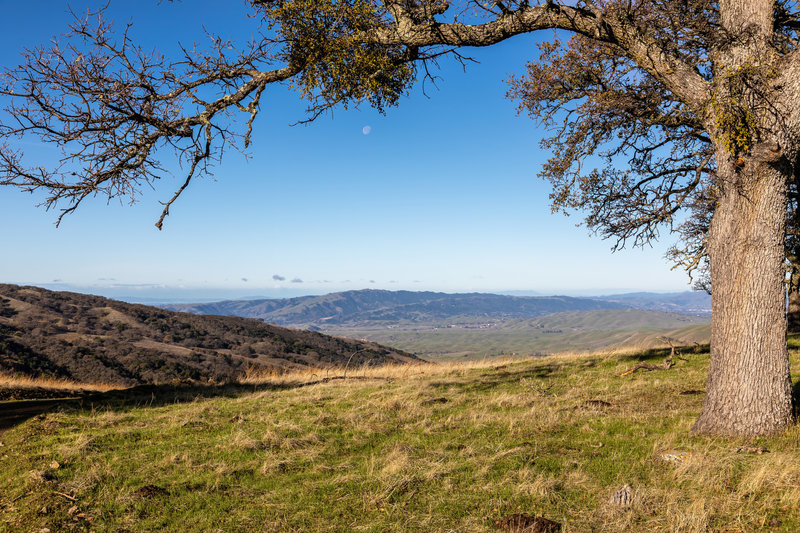 Tri-Valley from the top of Rocky Ridge.
