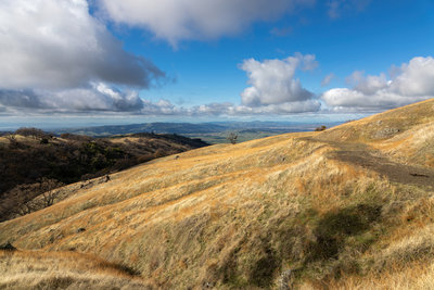 View from Springboard Trail Connector.