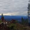 Mt. Rainier from near the top Tiger Mt.