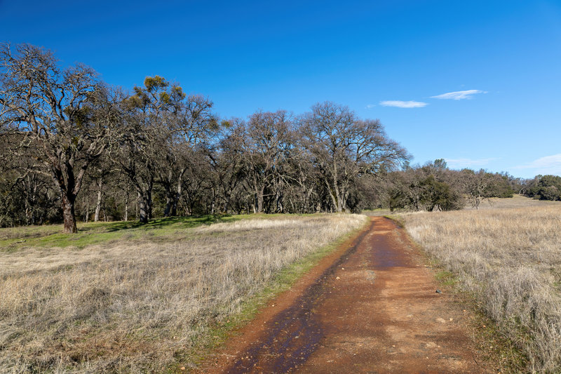 Olmstead Loop Trail