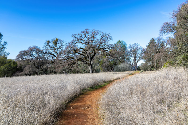 Olmstead Loop Trail.