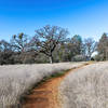 Olmstead Loop Trail.