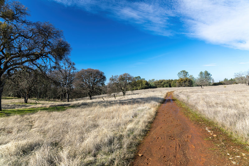 Slightly muddy, but nonetheless a pleasant walk on Olmstead Loop Trail.