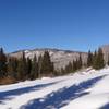 Near the end of Williams Trail near intersection with the Babbish Gulch Trail