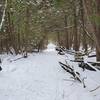 Rideau Trail segment in winter.